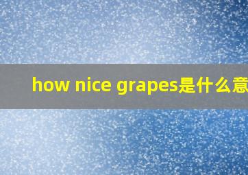 how nice grapes是什么意思